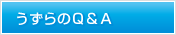 Q&A